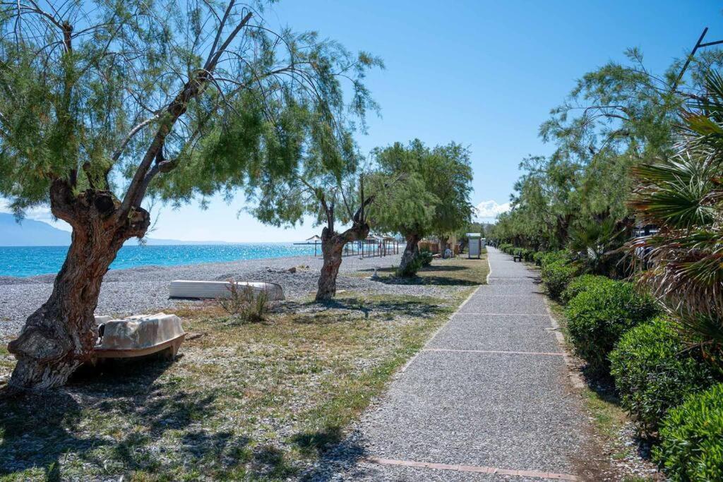 μεζονέτα στο κύμα *